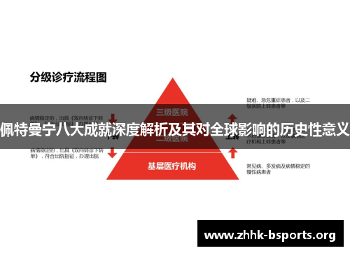 佩特曼宁八大成就深度解析及其对全球影响的历史性意义 佩特曼宁八大成就深度解析及其对全球影响的历史性意义
